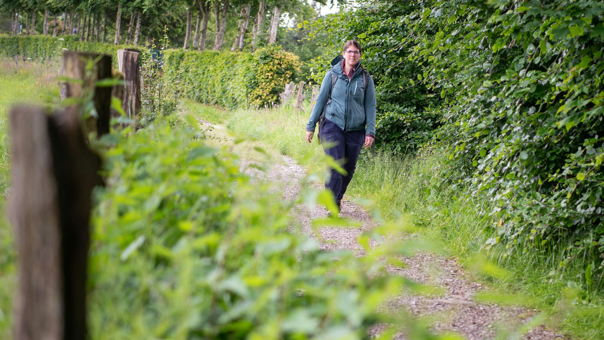 Reporterin Julia Reuß wandert auf dem Wildnistrail im Nationalpark Eifel.