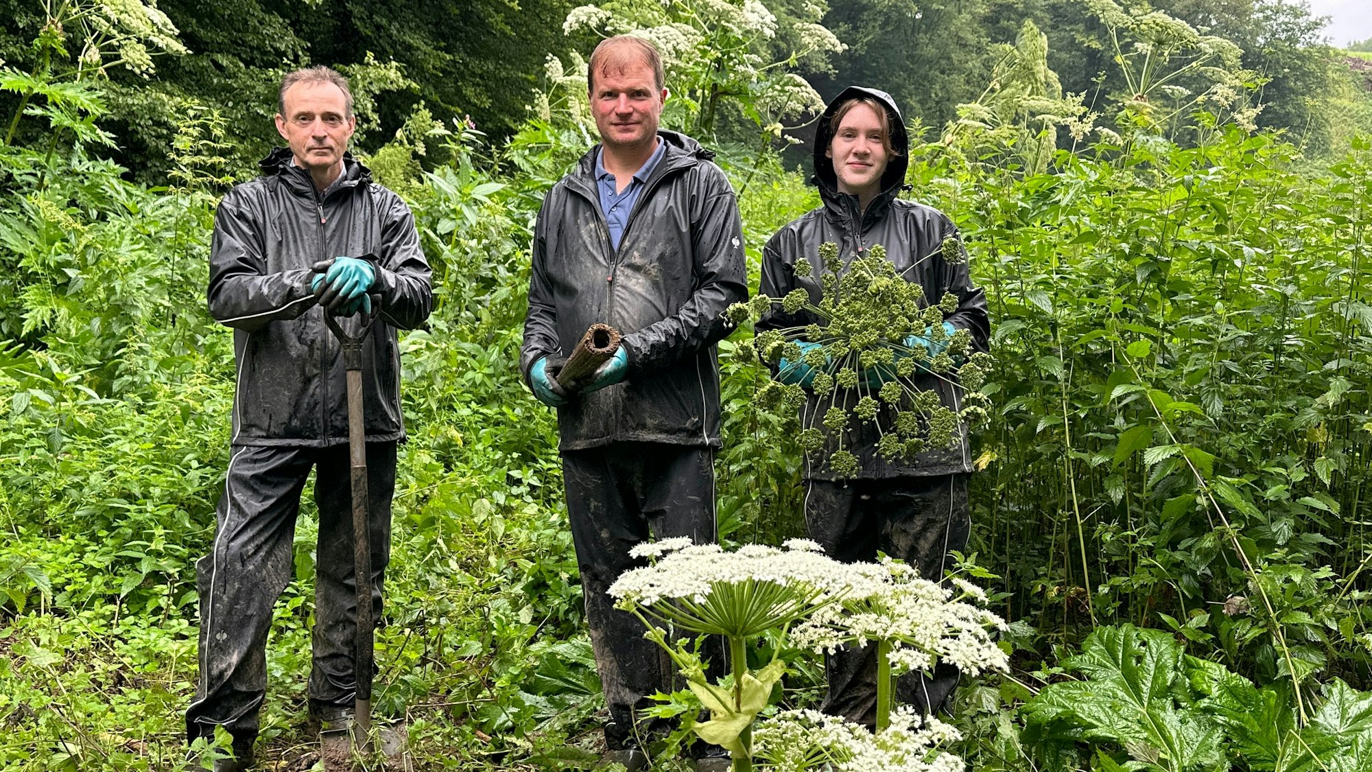 Drei Personen in einer Böschung mit der Herkulesstaude.