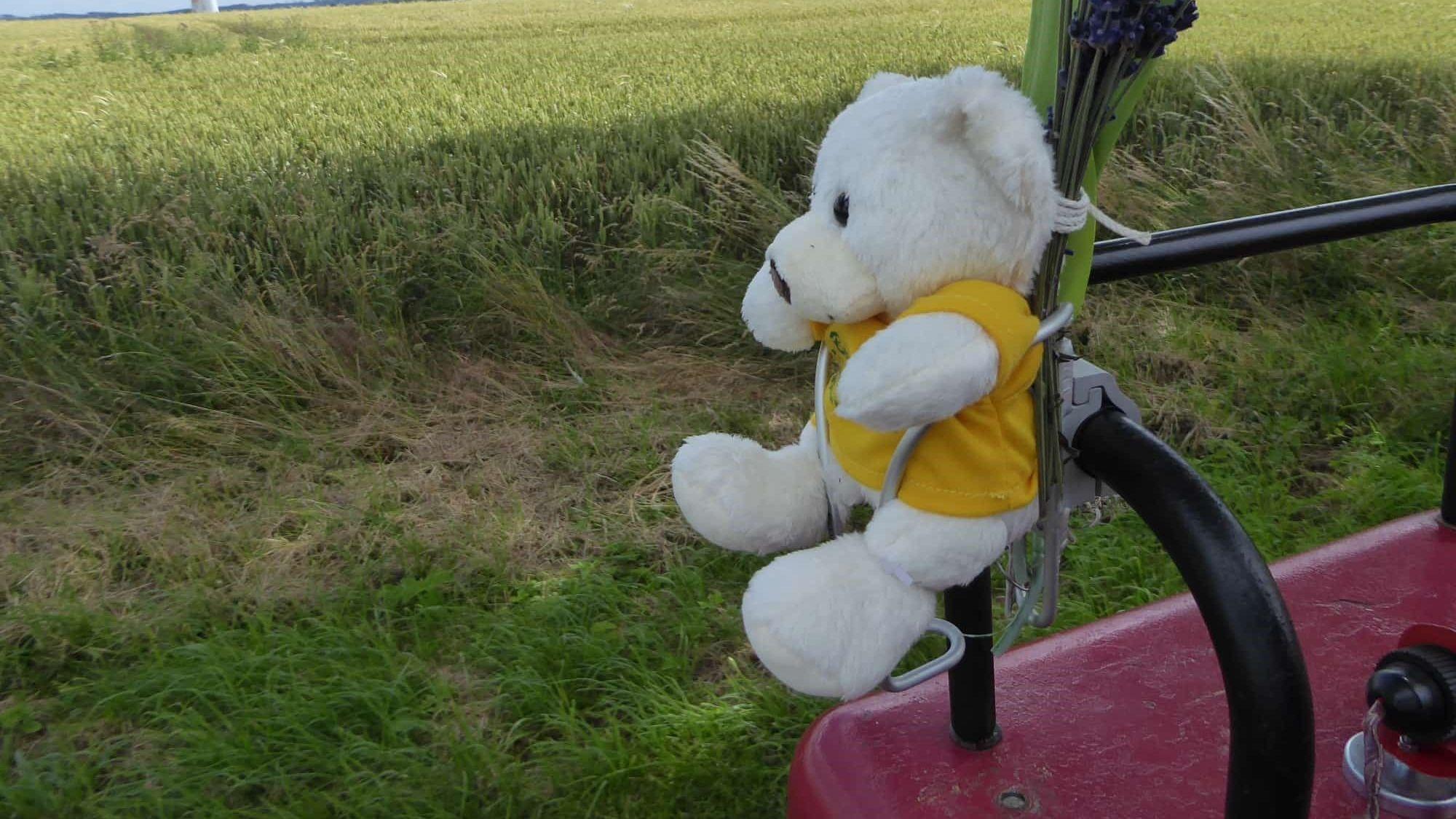 Ein Teddy ist an einen Traktor geschnallt.