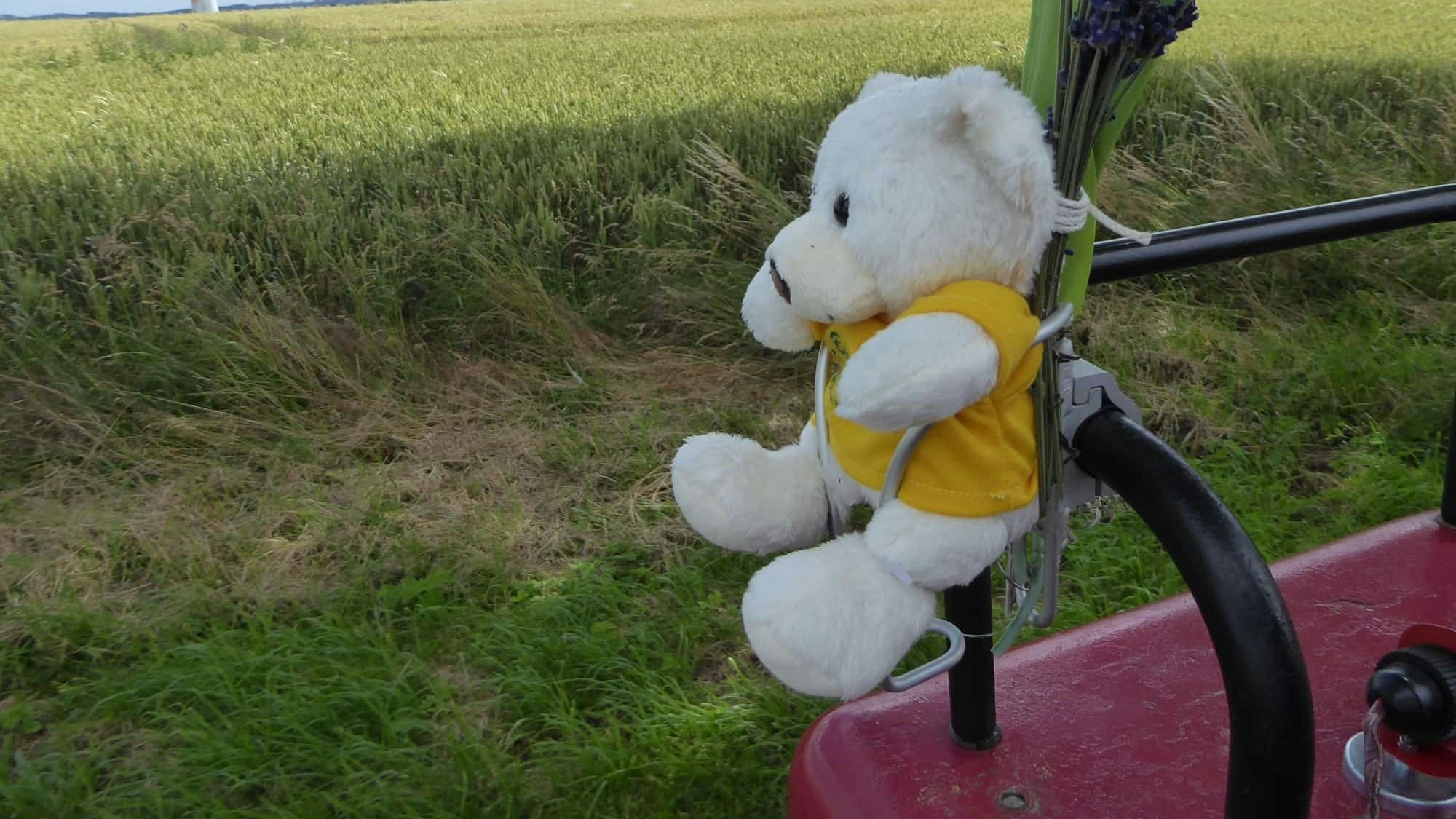 Ein Teddy ist an einen Traktor geschnallt.