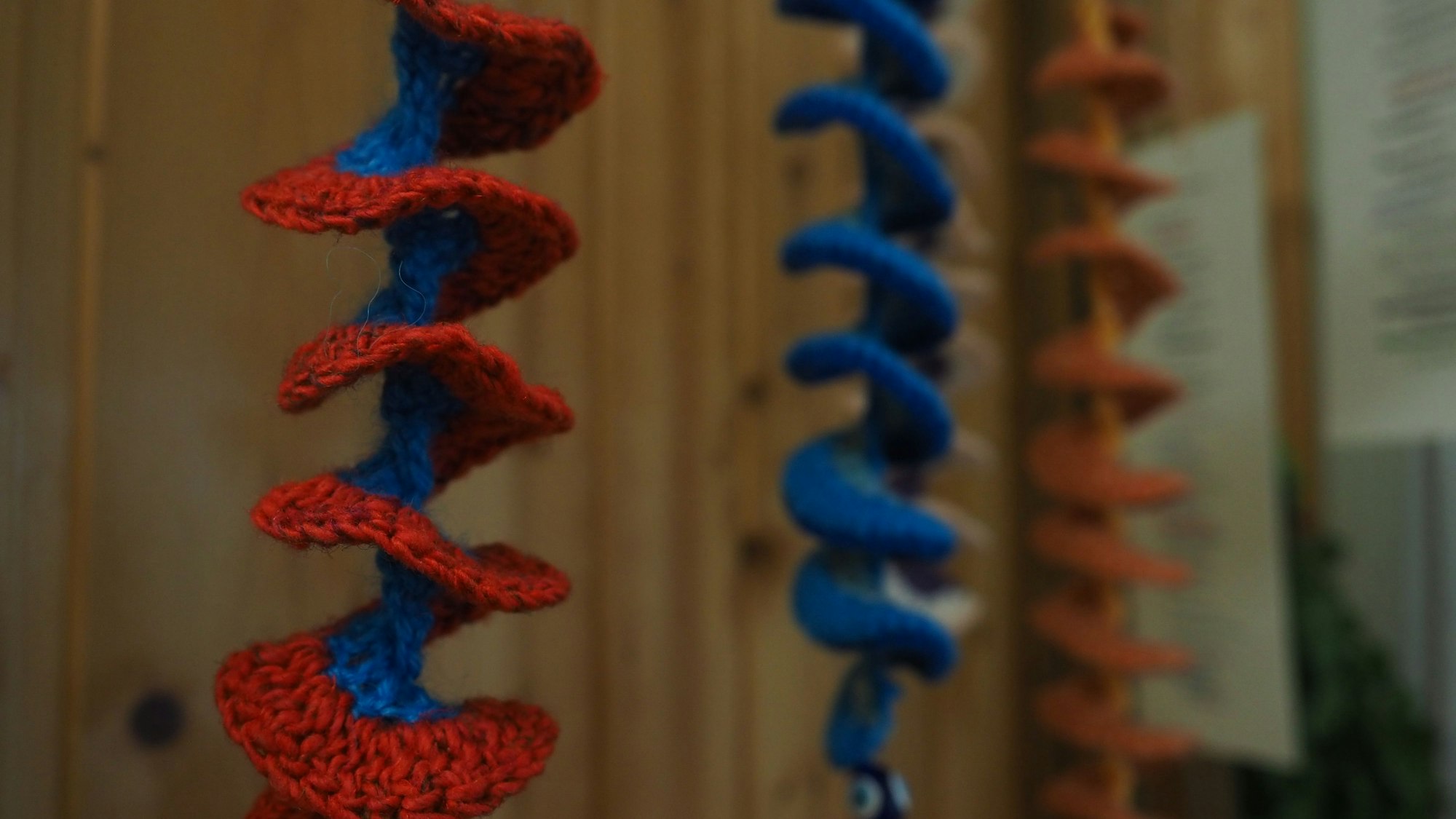 Gehäkelte spiralförmige Objekte, unter anderem in den Farben Rot und Blau, hängen nebeneinander.