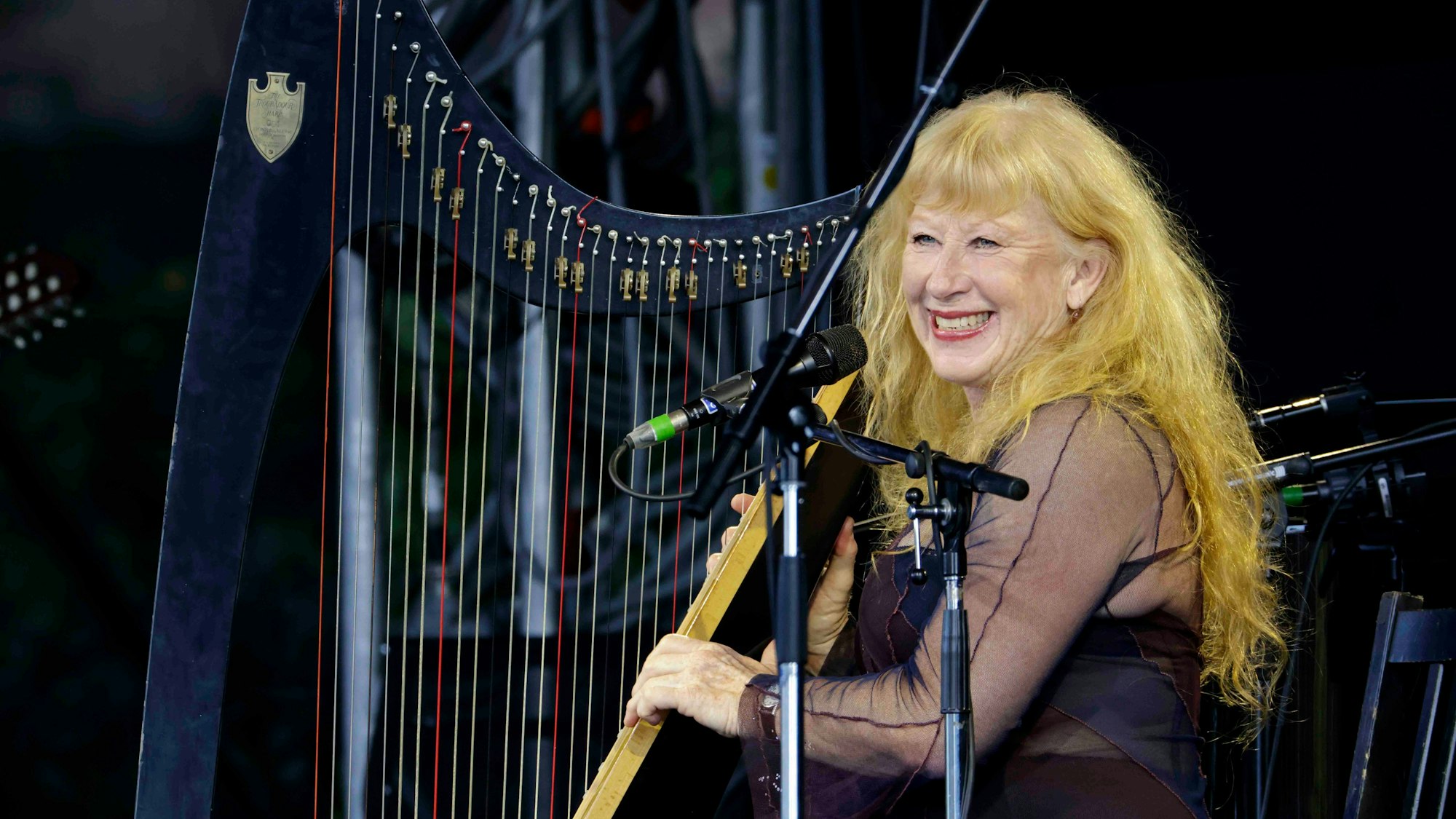 Loreena McKennitt sitzt an einer Harfe.