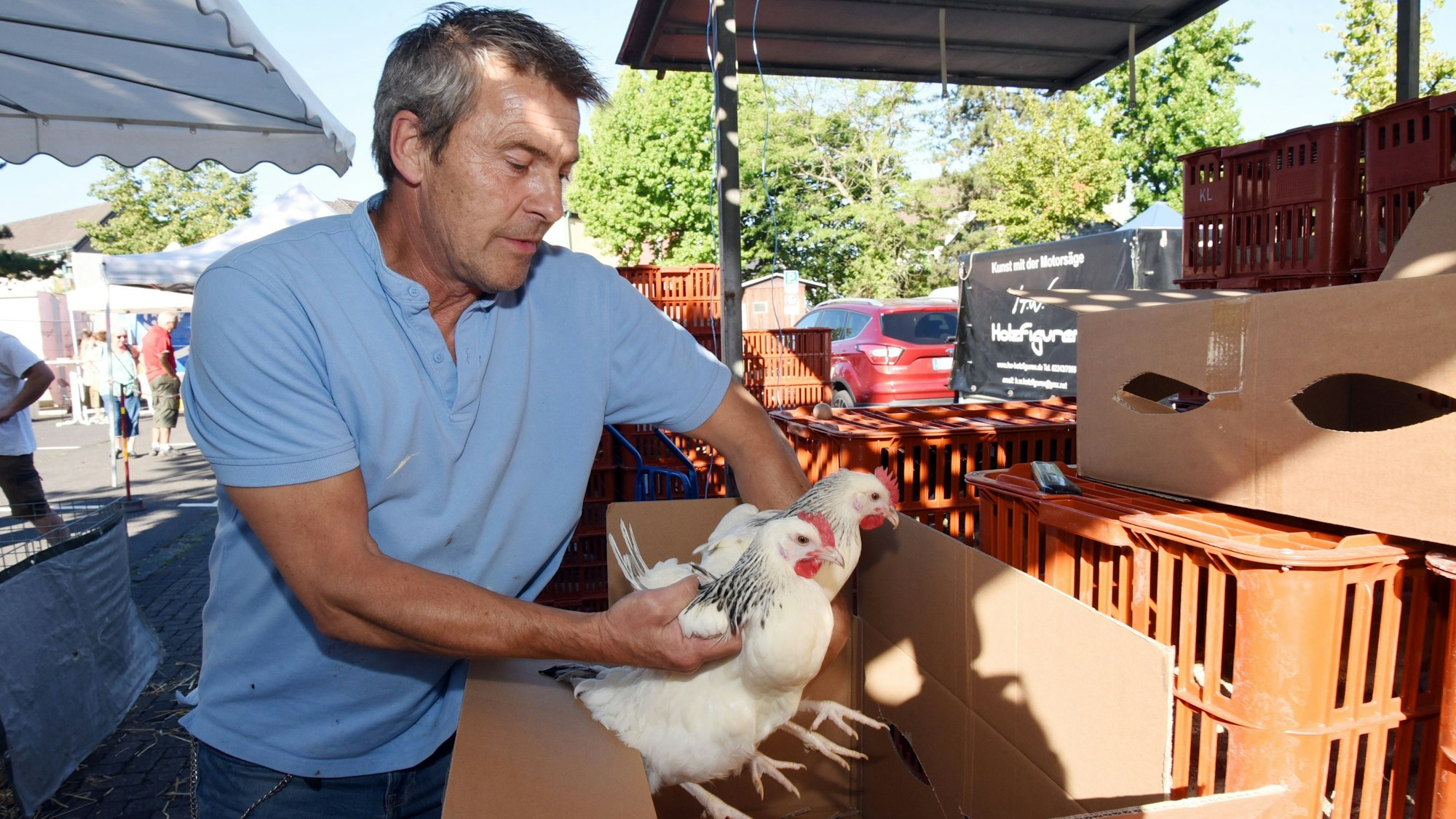 Ein Mann packt zwei Hühner in einen Karton.