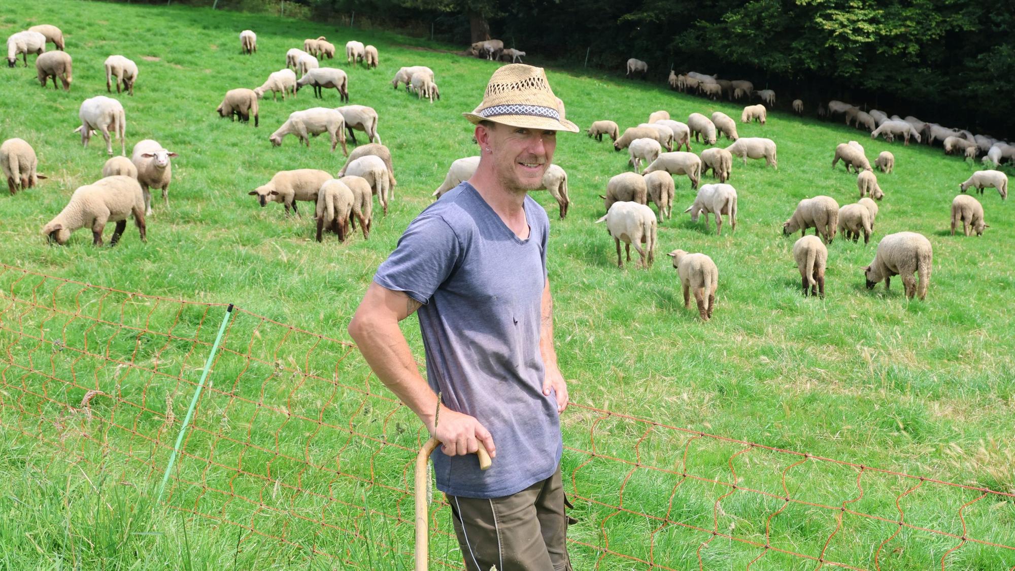 Der Wanderschäfer Oliver Sachse aus Waldbröl fürchtet nun auch, dass es die ersten Fälle von Blauzungenkrankheit in seiner großen Herde gibt.