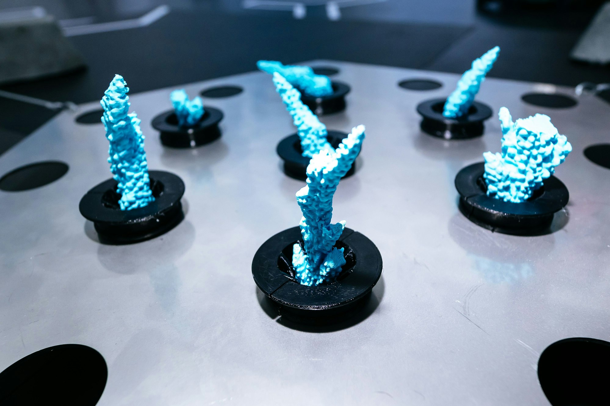 Korallen-Attrappen stecken in Befestigungsringen.