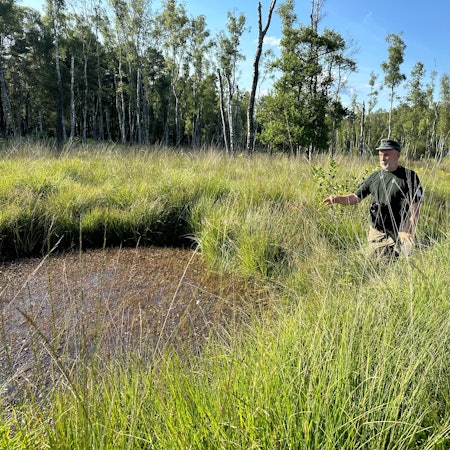 Förster Achim Urmes an einer künstlichen Staustufe, die das Planitzmoor retten soll.