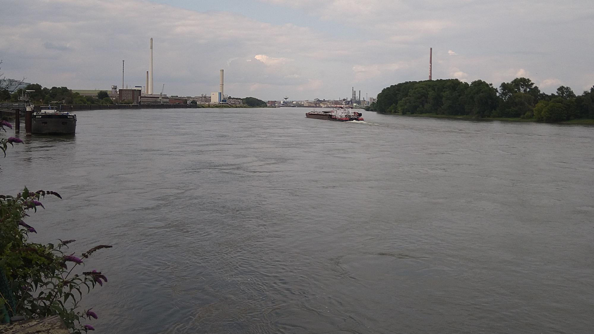 Am Aussichtspunkt am Niehler Damm reicht der Blick von Leverkusen bis Mülheim.