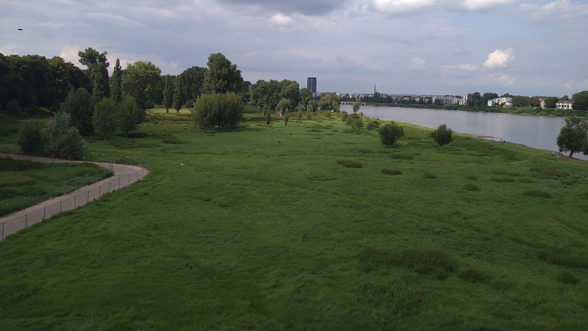 Auf der Mülheimer Brücke lässt sich die Auenlandschaft am Rheinufer in Augenschein nehmen.
