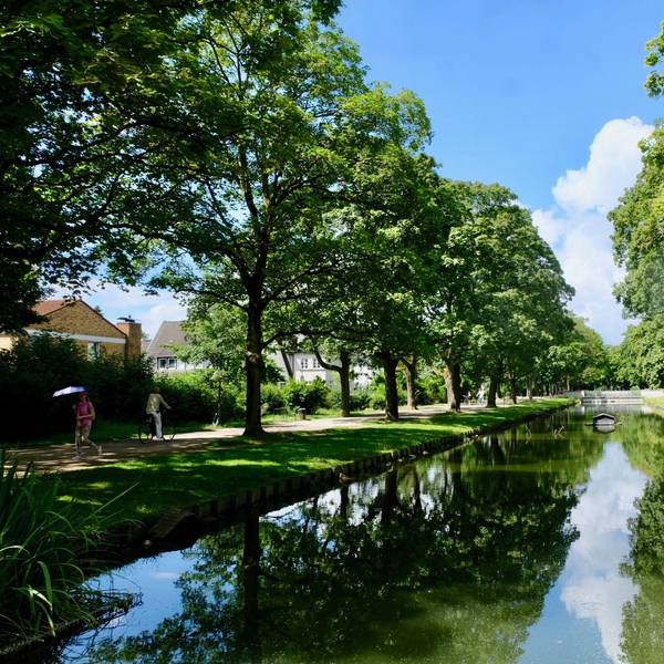 Ein Kanal in Köln-Lindenthal, gesäumt mit hohen Bäumen
