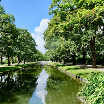 Ein Kanal in Köln-Lindenthal, gesäumt mit hohen Bäumen