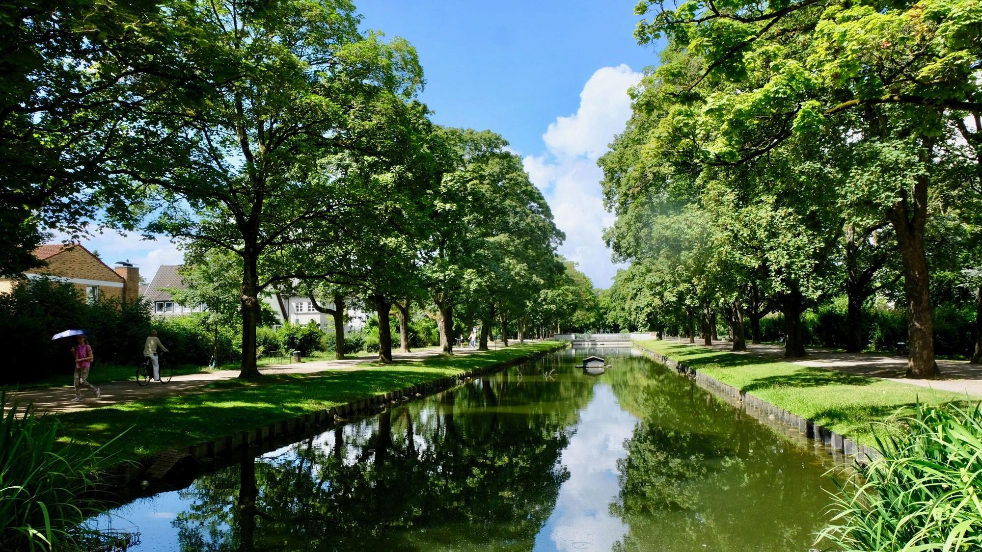 Ein Kanal in Köln-Lindenthal, gesäumt mit hohen Bäumen