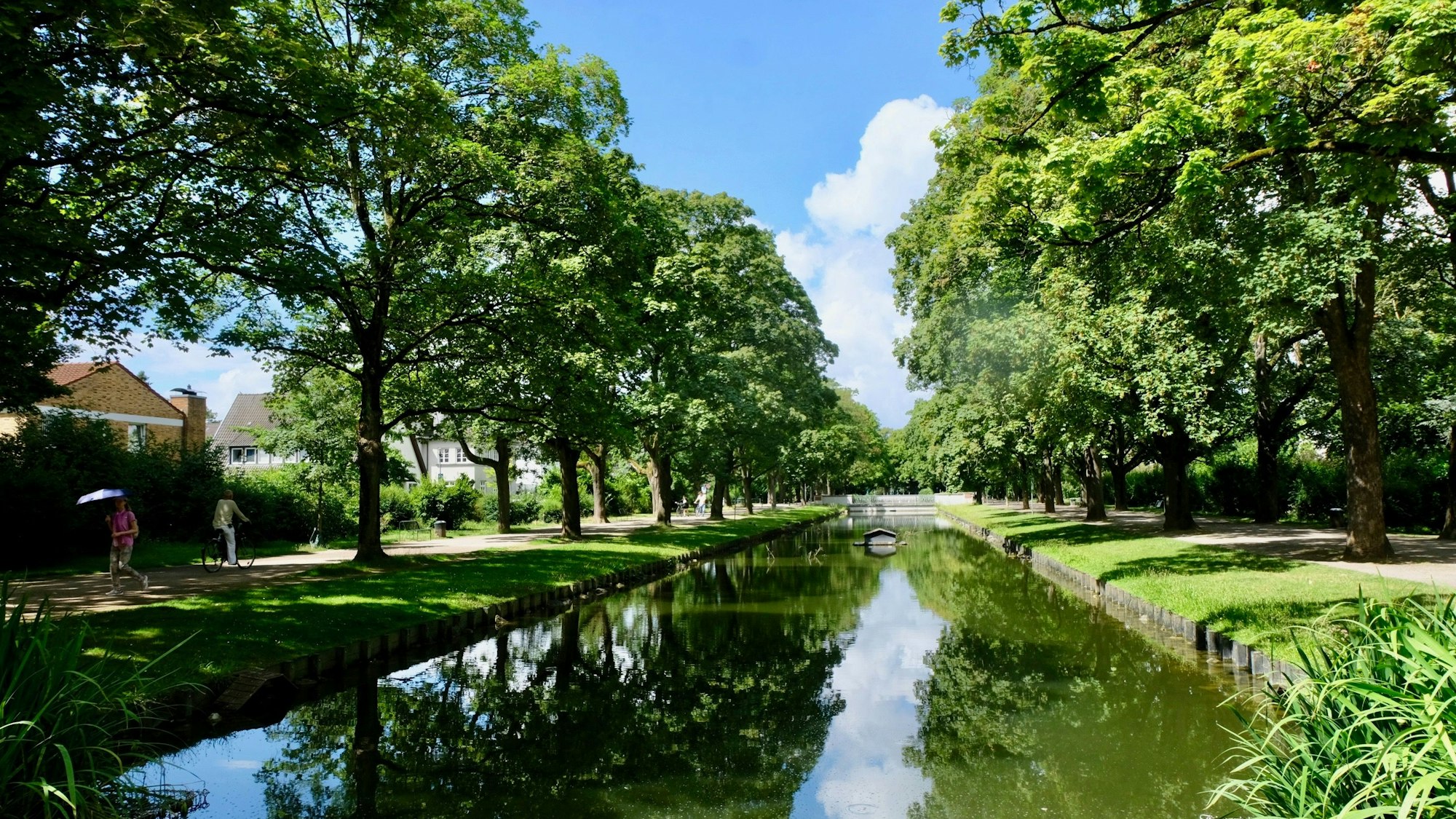 Ein Kanal in Köln-Lindenthal, gesäumt mit hohen Bäumen