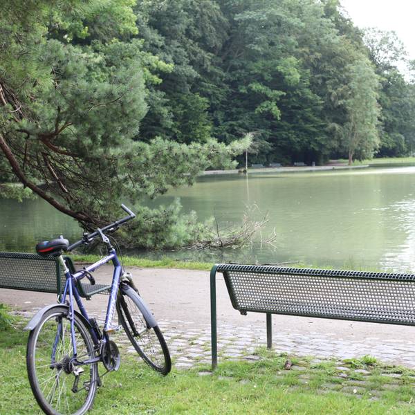 Am Adenauerweiher lässt es sich in entspannter Atmosphäre verweilen.