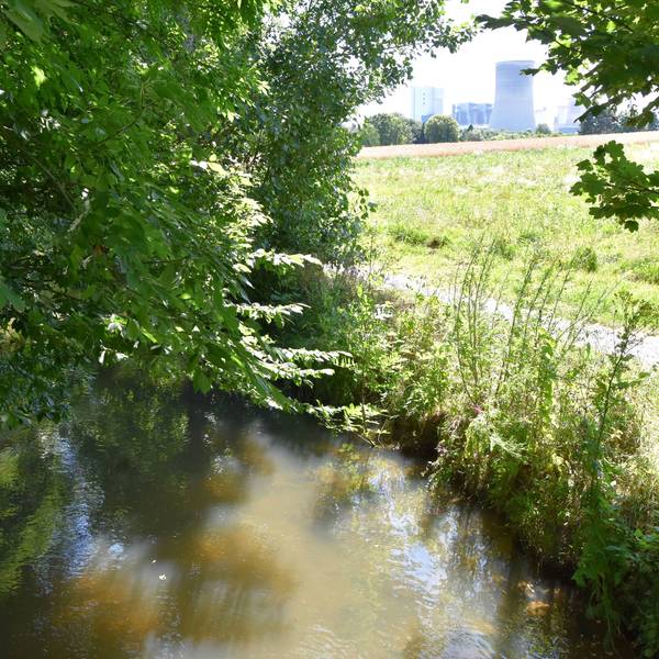 Das Bild zeigt den Gillbach. Zwischen den Büschen und Bäumen am Ufer kann man einen Kühlturm des Kraftwerks in der Nähe sehen.
