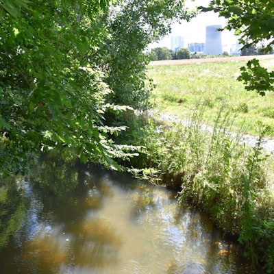 Das Bild zeigt den Gillbach. Zwischen den Büschen und Bäumen am Ufer kann man einen Kühlturm des Kraftwerks in der Nähe sehen.