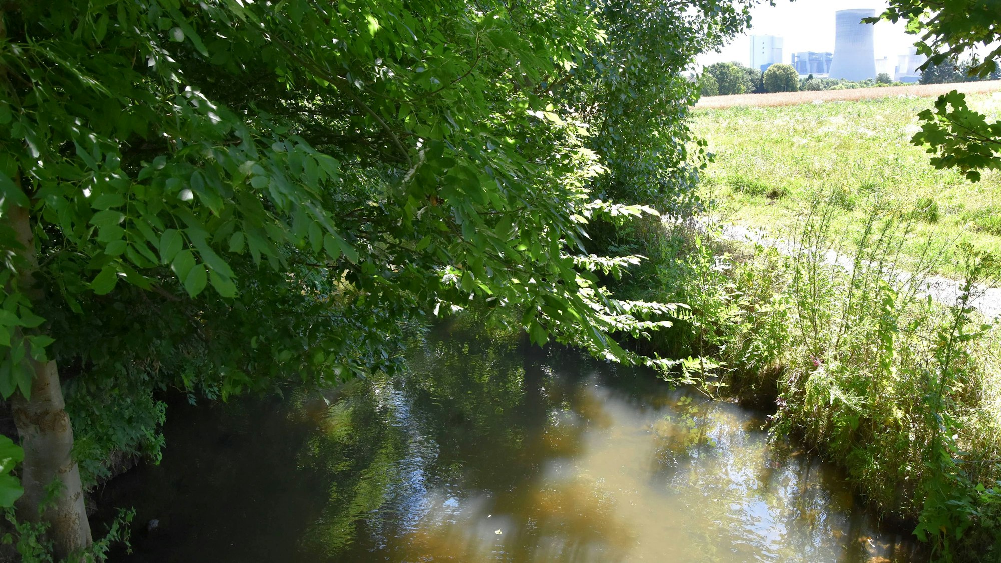 Der Gillbach, hier bei Hüchelhoven, lebt zurzeit weitgehend von eingeleitetem Kühlwasser aus dem Kraftwerk Niederaußem.