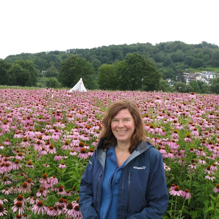 Die Bundestagsabgeordnete Ophelia Nickel mit blauer Jacke inmitten von rosarot blühenden Sonnenhutpflanzen.