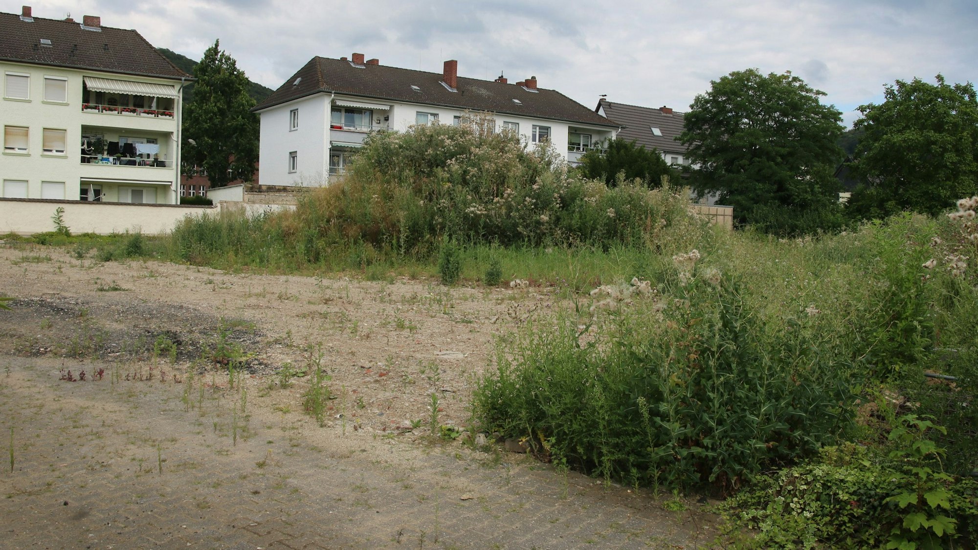 Eine überwachsene Brachfläche, im Hintergrund Mehrfamilienhäuser.