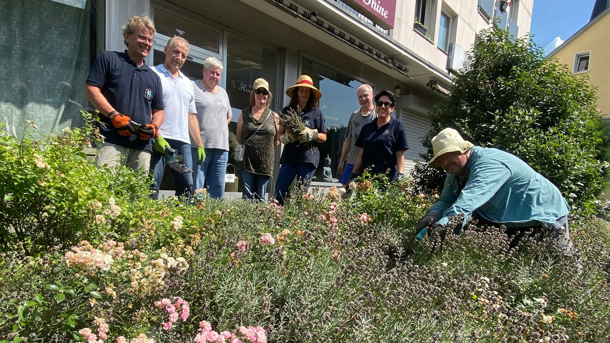 Männer und Frauen stehen an einem Beet, eine Frau schneidet Lavendel.