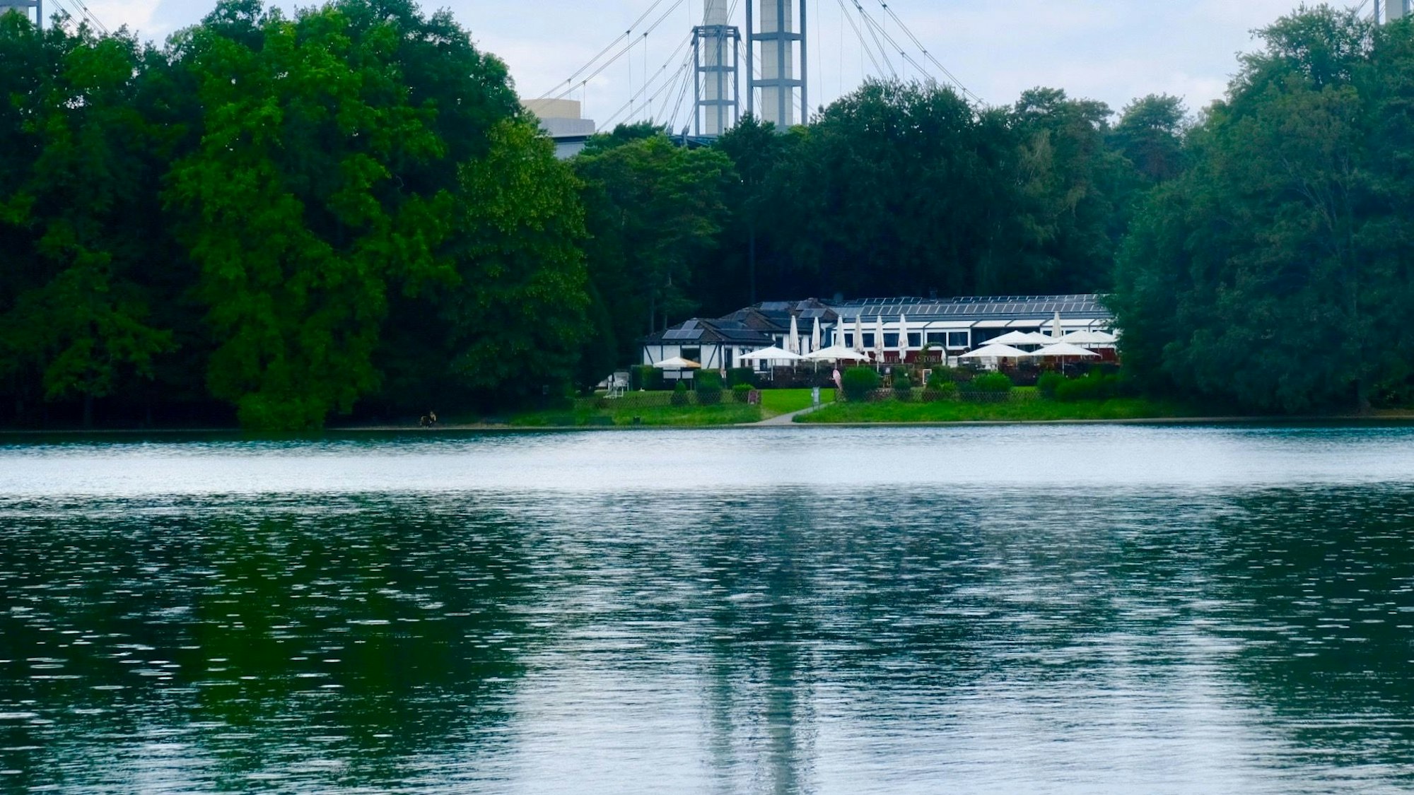 Ein Fahrrad steht auf der Wiese am Adenauerweiher in Köln. In der Ferne sind der Club Astoria und die Stützen vom Rhein Energie Stadion zu sehen.