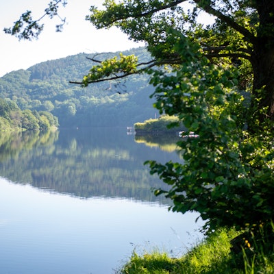 Die Morgensonne scheint auf den Rursee/Obersee in Einruhr.