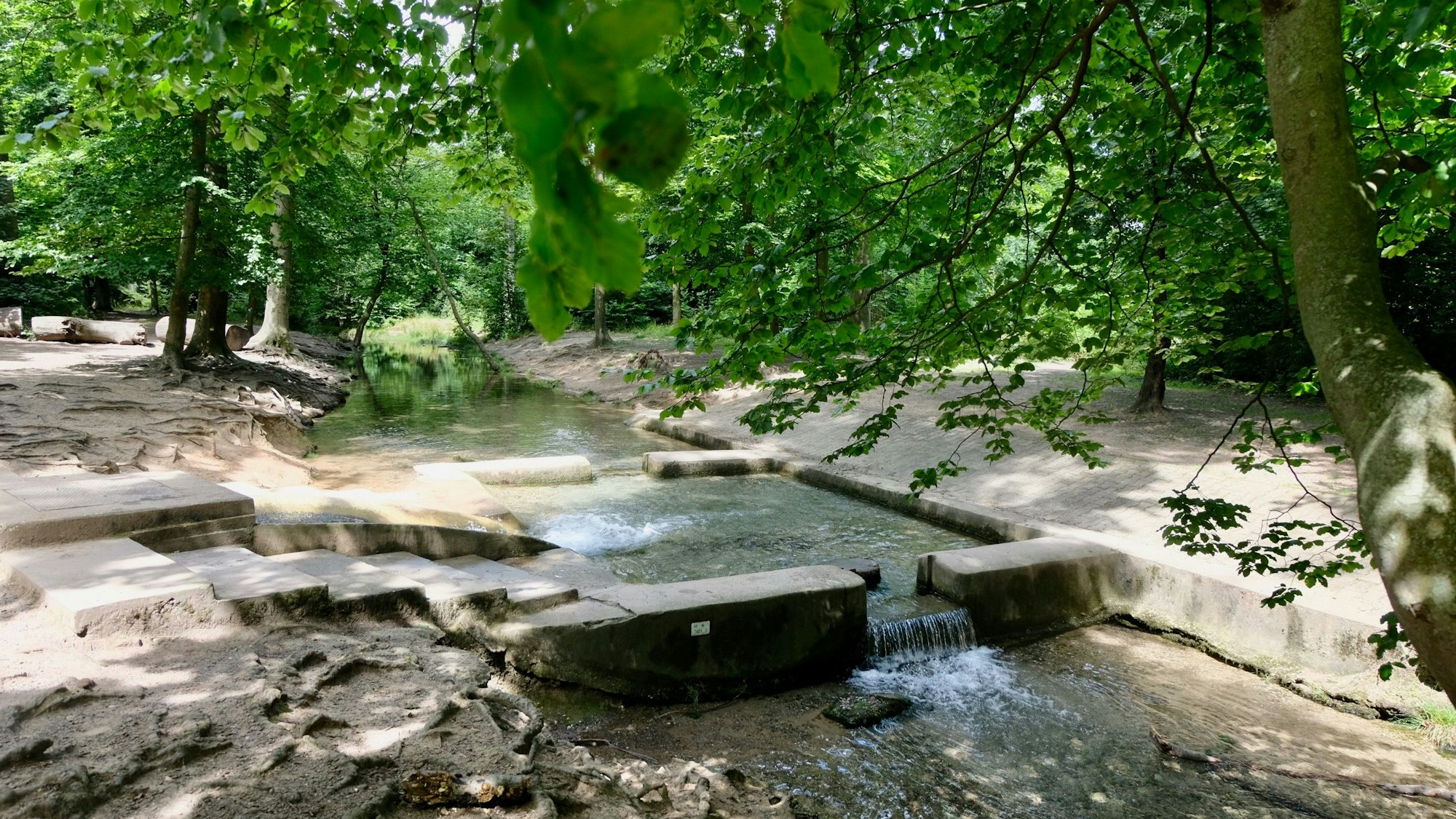 Der Bach mit Wasserfall im Stadtwald