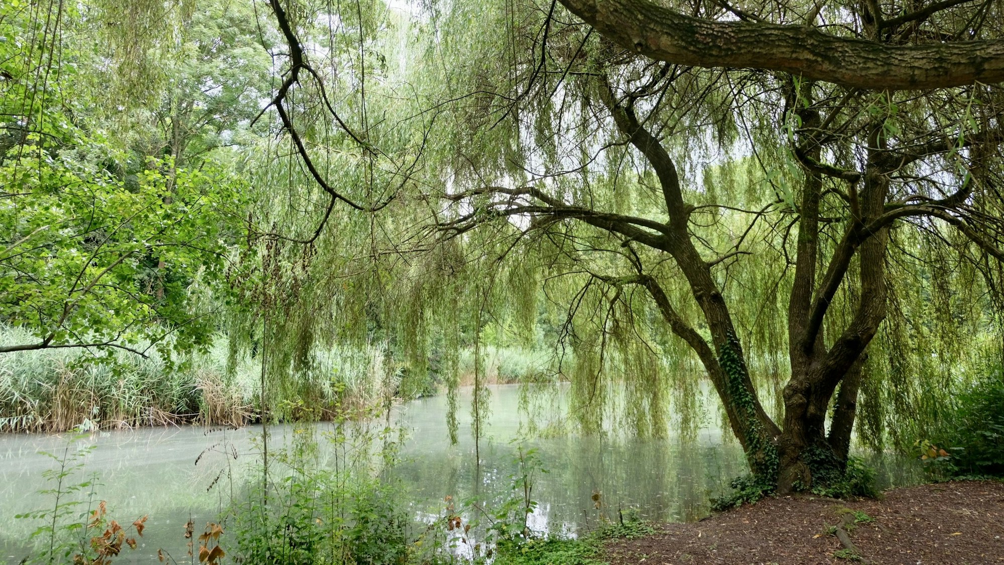 Das Ufer des Klettenbergparks
