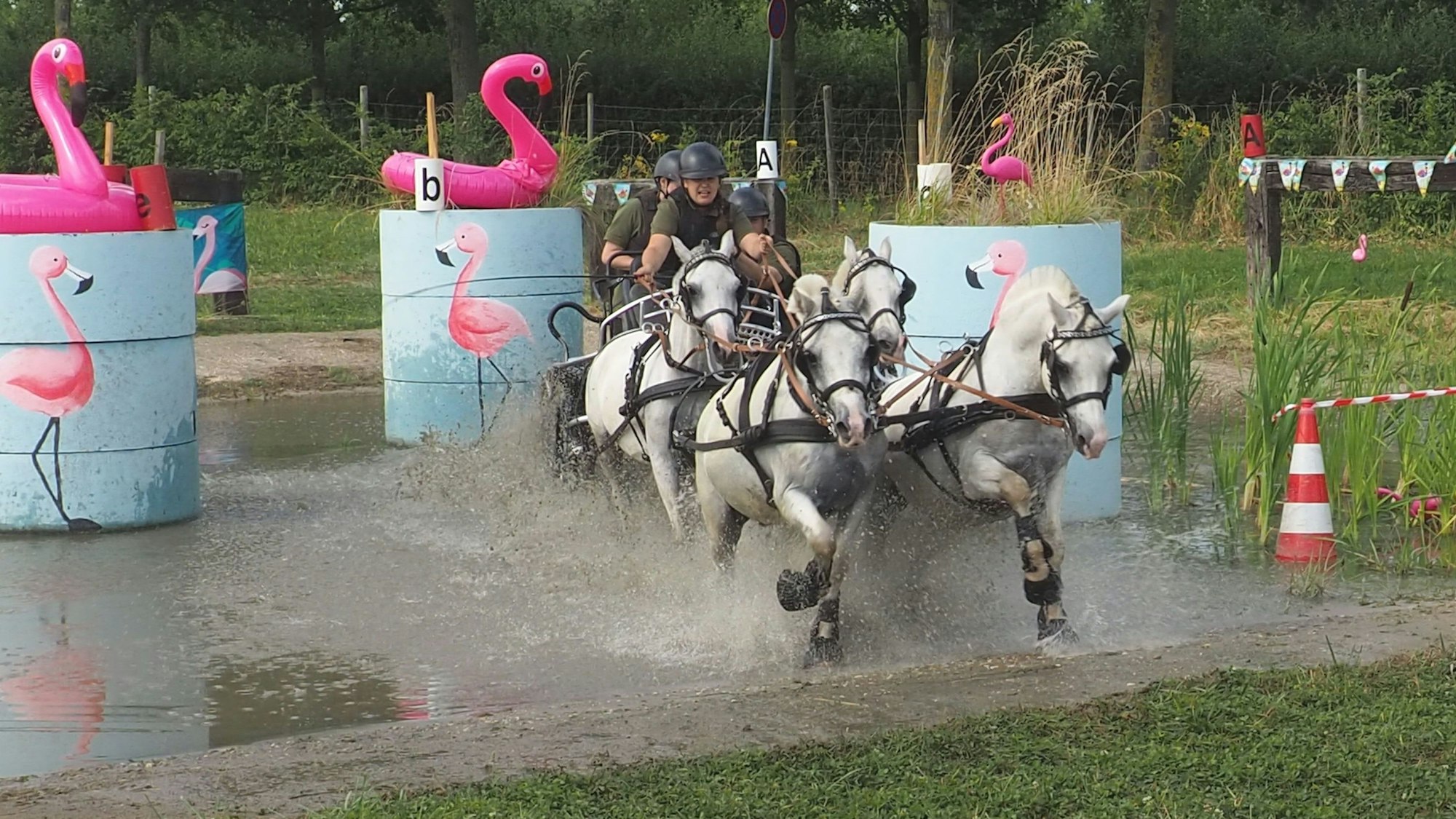 Ein Pferdegespann hat ein Hindernis, auf dem rosafarbene Gummi-Flamingos thronen, durchquert. Wasser spritzt.