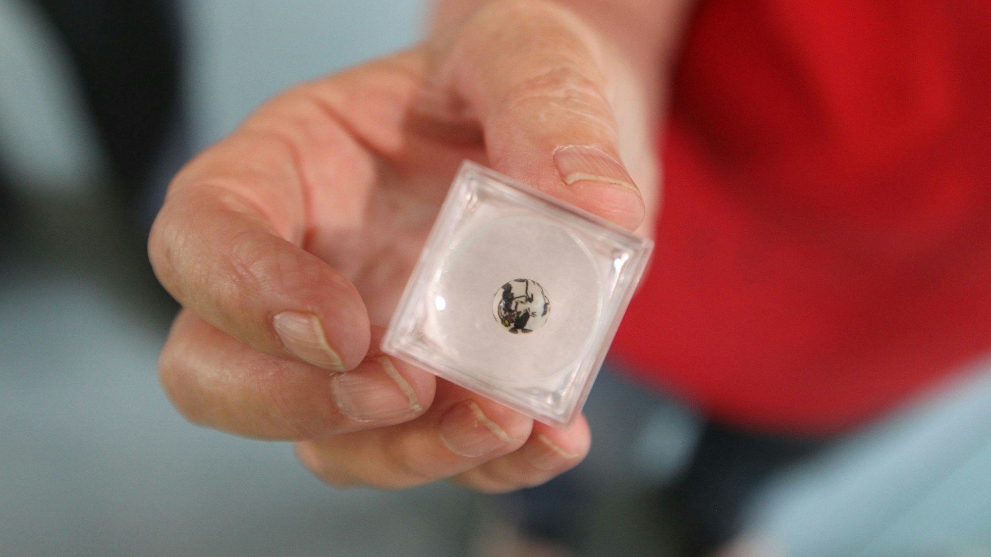 Das kleinste Ei ist ein bemaltes Kolibri-Ei, auf dem ein Hase zu erkennen ist.