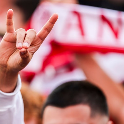 ARCHIV - 06.07.2024, Nordrhein-Westfalen, Düsseldorf: Fußball: EM, Niederlande - Türkei, Viertelfinale: Ein türkischer Fan zeigt den «Wolfsgruß», dessen Ursprung einer rechtsextremistischen Bewegung zugeordnet wird.