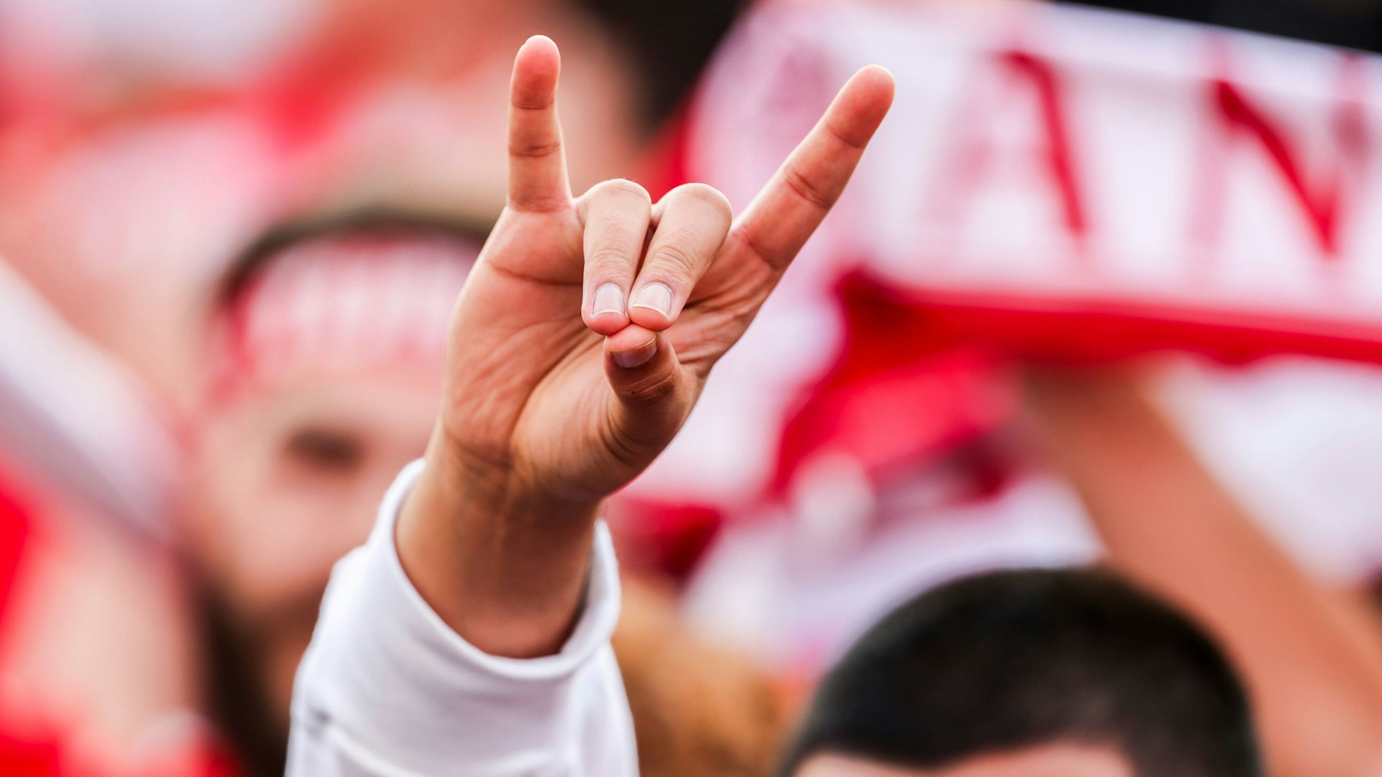 ARCHIV - 06.07.2024, Nordrhein-Westfalen, Düsseldorf: Fußball: EM, Niederlande - Türkei, Viertelfinale: Ein türkischer Fan zeigt den «Wolfsgruß», dessen Ursprung einer rechtsextremistischen Bewegung zugeordnet wird.