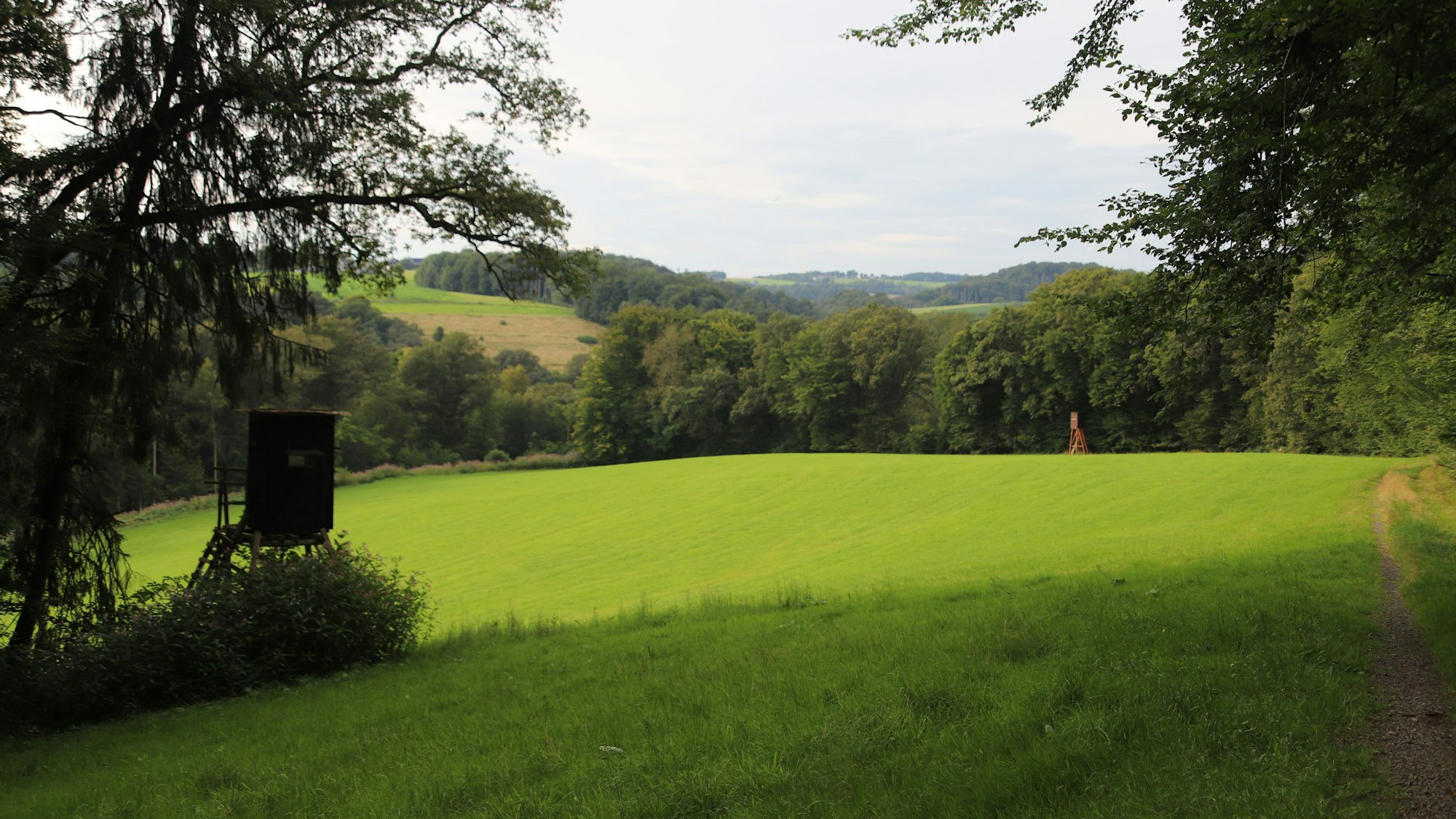 Auf der Wanderung geht der Blick ins Naafbachtal.