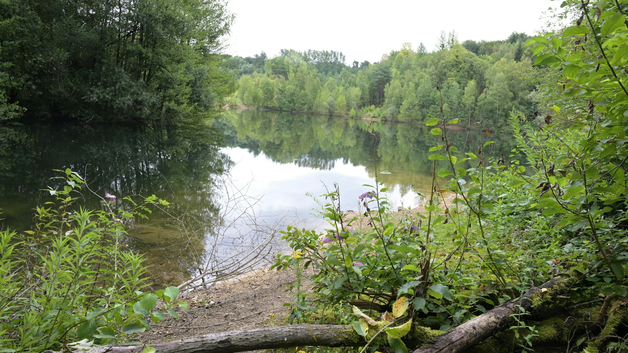 Das Foto zeigt das Naturschutzgebiet Grube Cox.