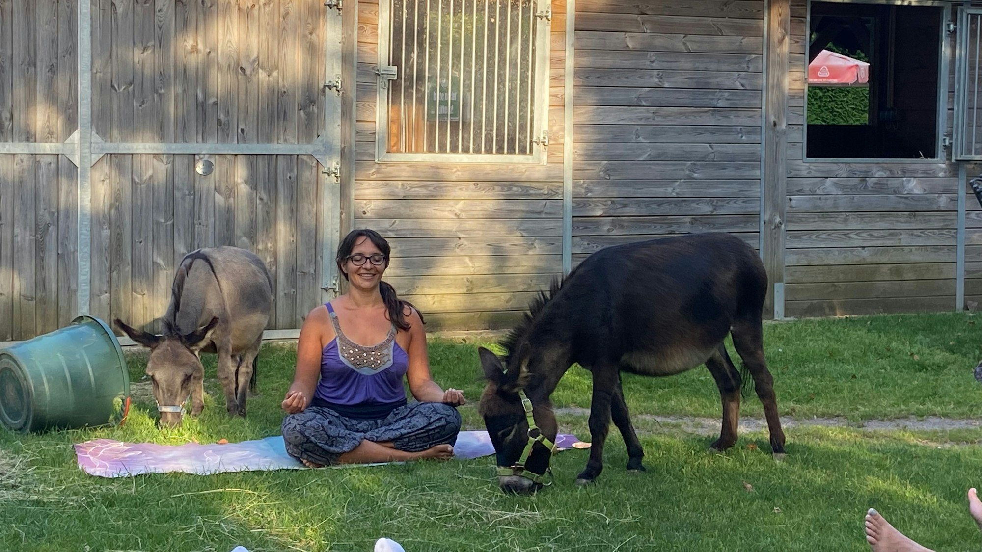 Eleni Hoh sitzt auf einer Wiese neben zwei Eseln