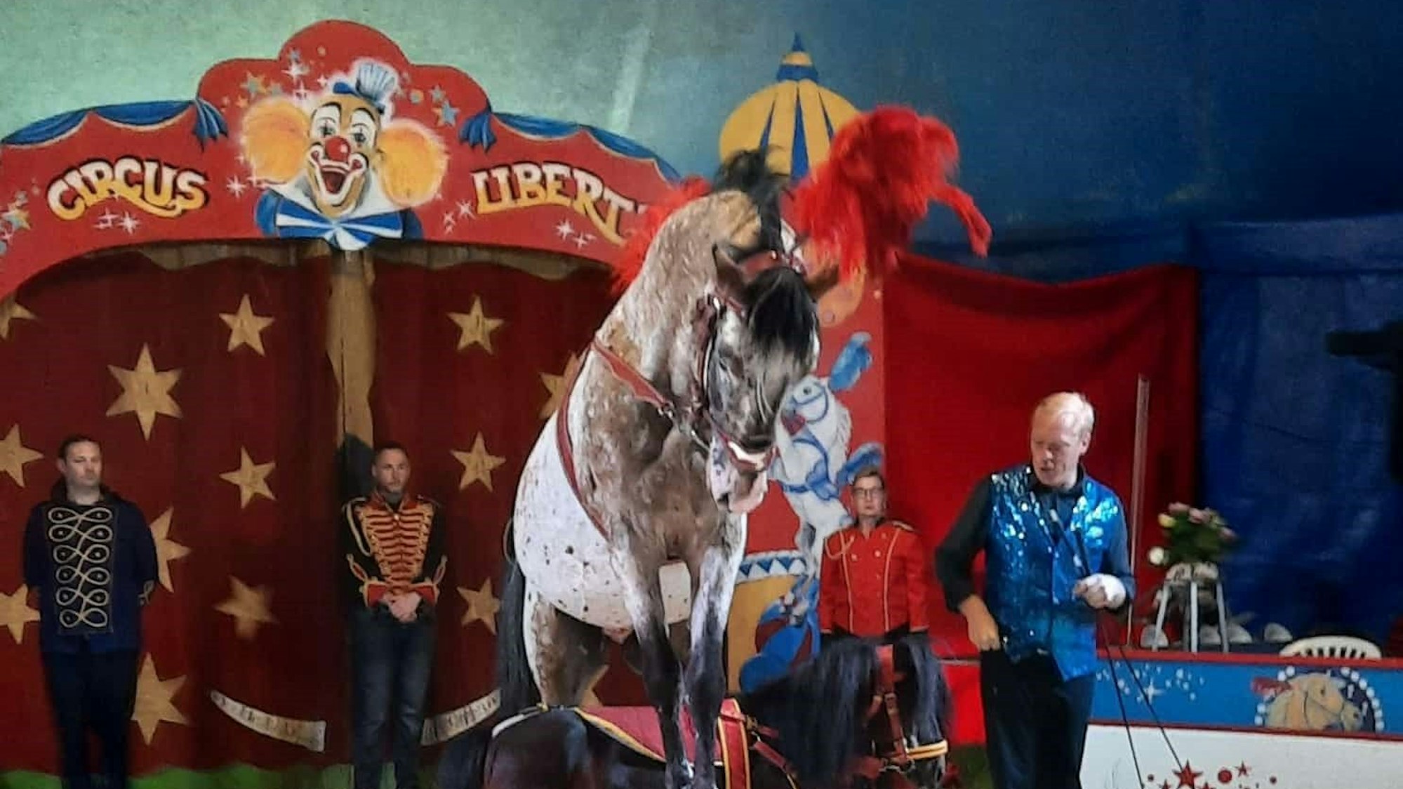 Das Foto zeigt eine Zirkuspferdnummer im Zirkus