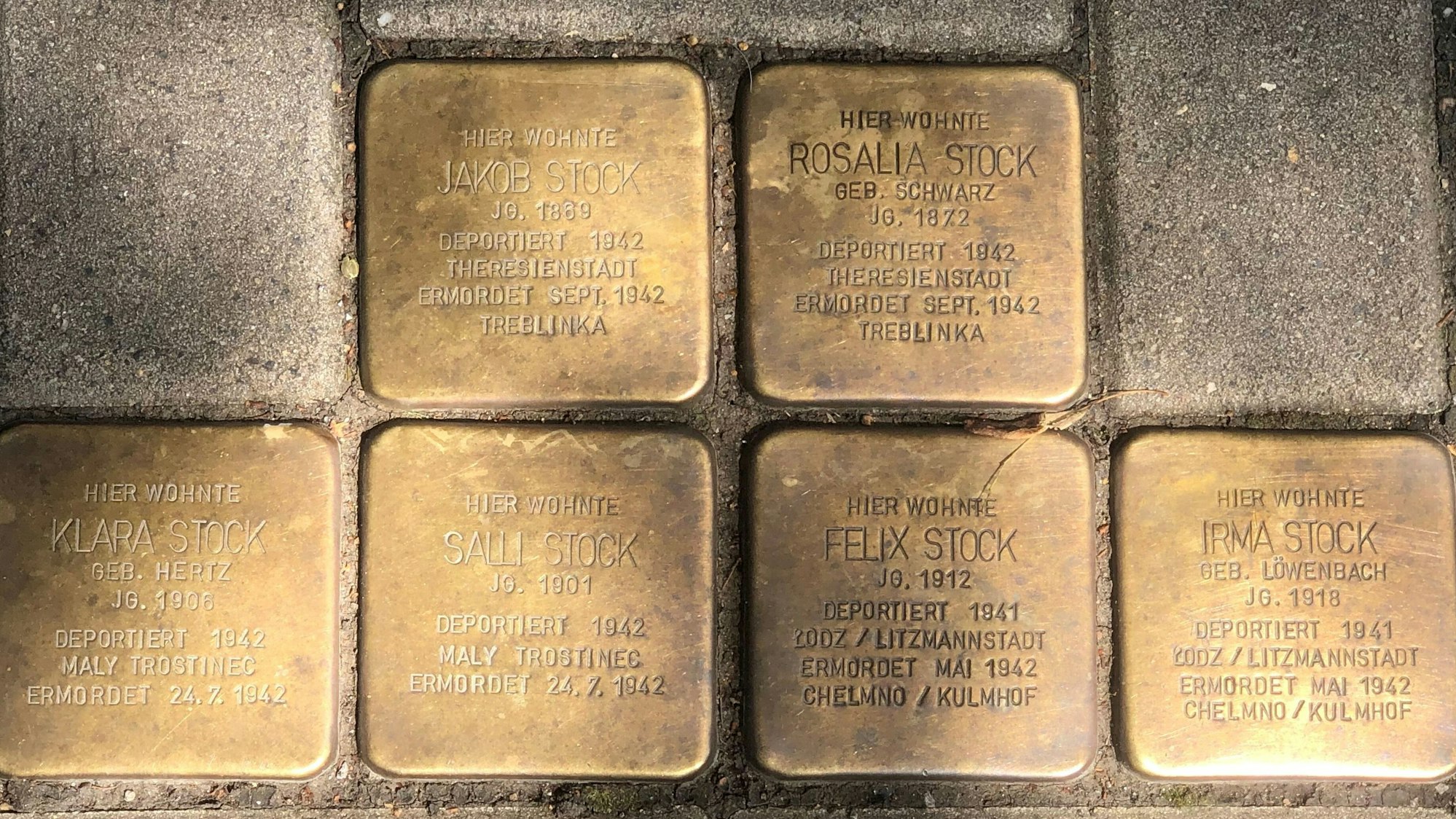 Fünf Stolpersteine sind in den Boden eingelassen.