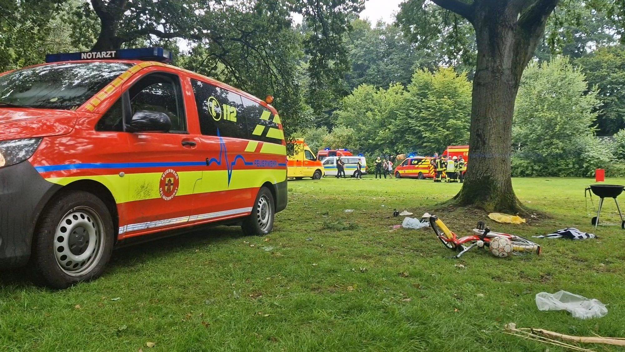 Einsatzfahrzeuge stehen nach dem Blitzeinschlag in einem Park.