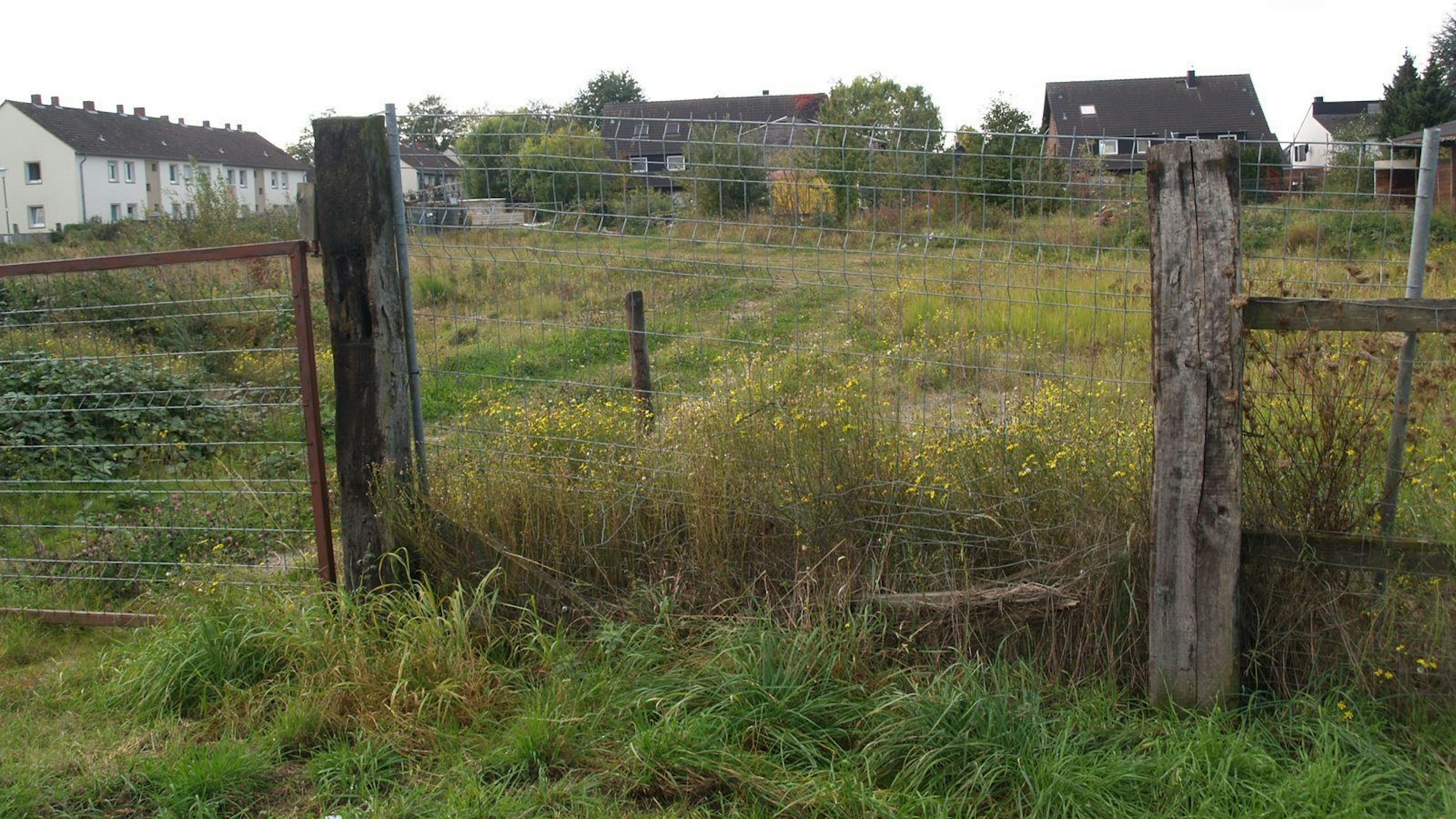 Ein brachliegendes Grundstück. (Symbolfoto)