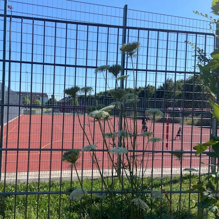Ein dreigeschossiger Modulbau mit Klassenräumen soll auf dem Pkw-Parkplatz entstehen. Auf dem Tartanplatz wird eine provisorische Sporthalle errichtet.