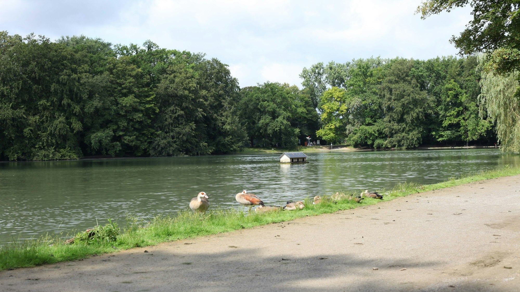 Adenauerweiher