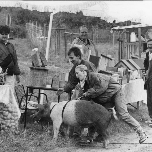 Bauernmarkt Freilichtmuseum