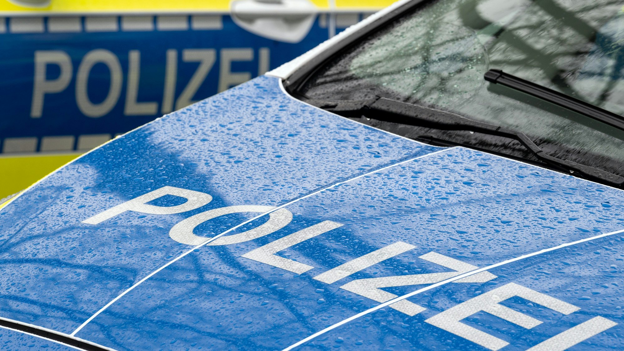 Auf dem Foto sind zwei Polizeiwagen zu sehen.