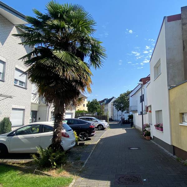 Die prächtige Palme ist der Blickfang auf der Feldgärtenstraße in Köln-Niehl.