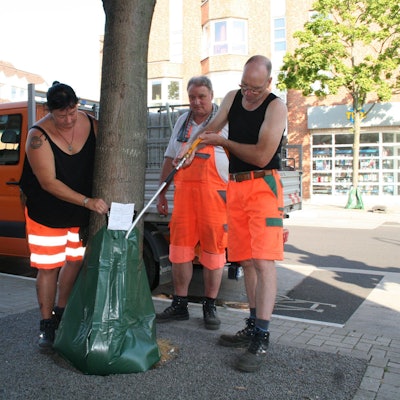 An größeren Bäumen werden zwei Säcke befestigt, sodass die doppelte Menge Wasser zur Verfügung steht. Über Löcher am Boden läuft das Wasser über einen Zeitraum von mehreren Stunden ab. Auf dem Bild sind die Helfer in oranger Signalkleidung zu sehen, die die Säcke anbringen.