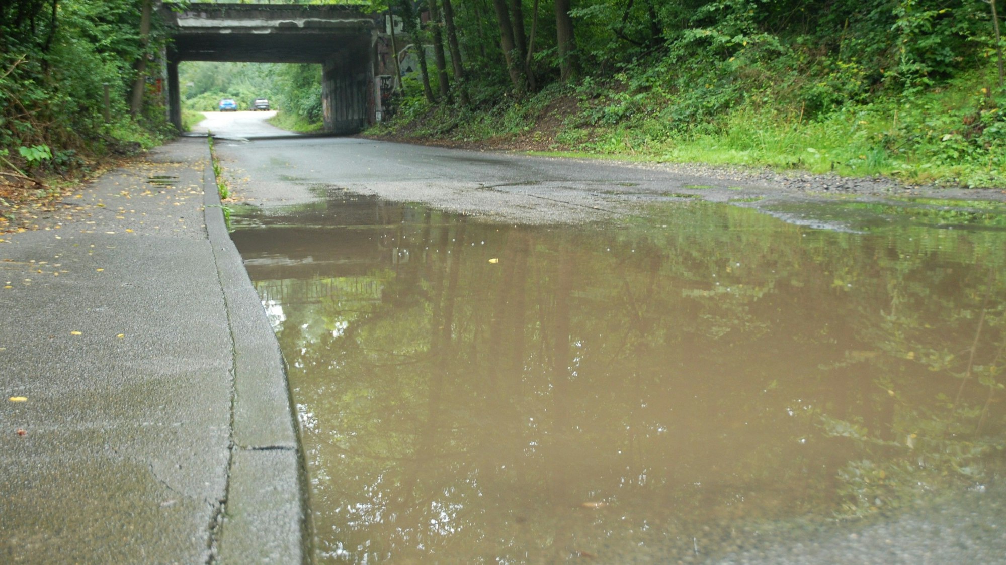 Wasser sammelt sich auf einer Straße.