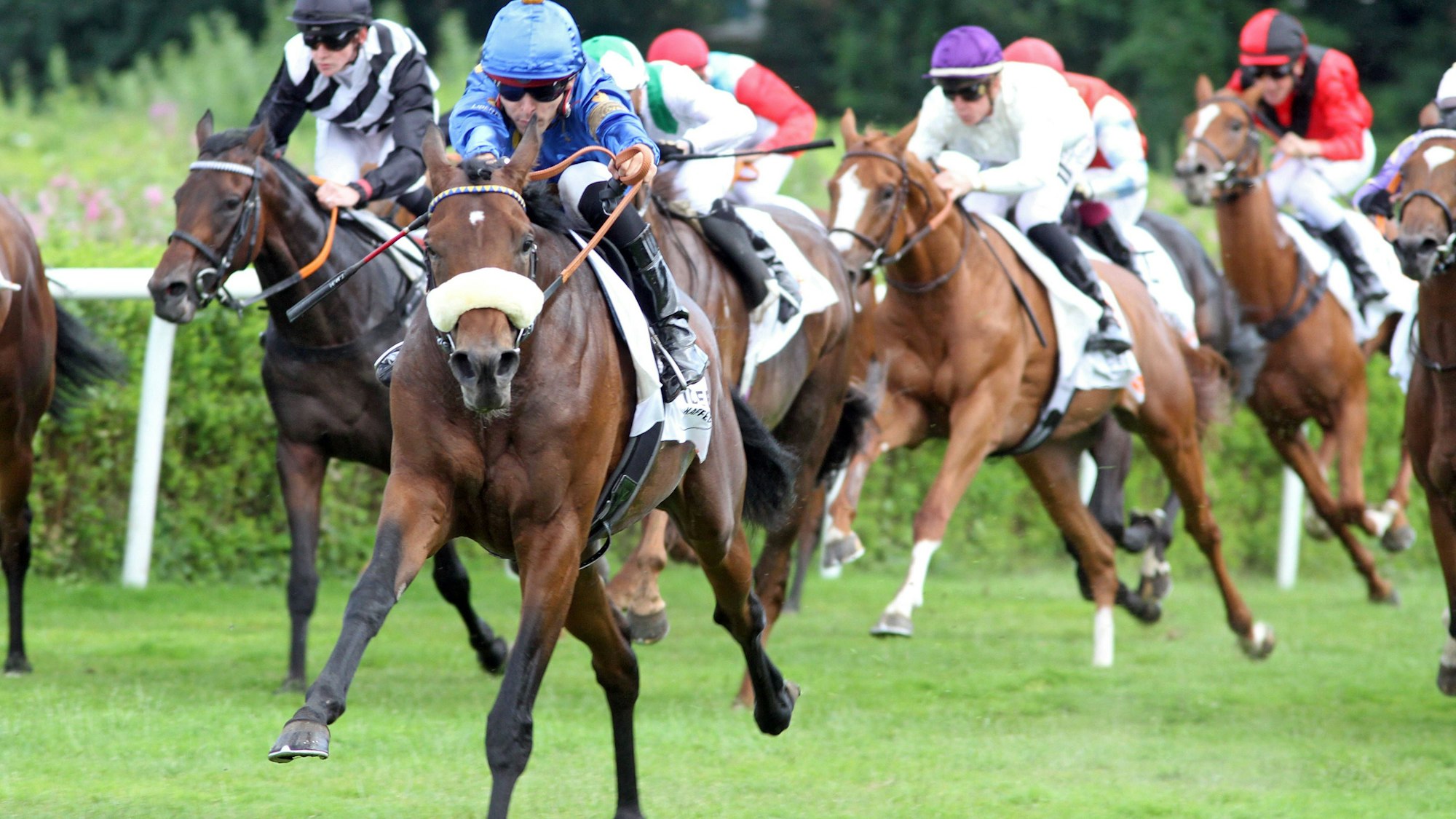 Hamburg: Derbysieger Palladium mit Thore Hammer-Hansen im Schlussbogen.