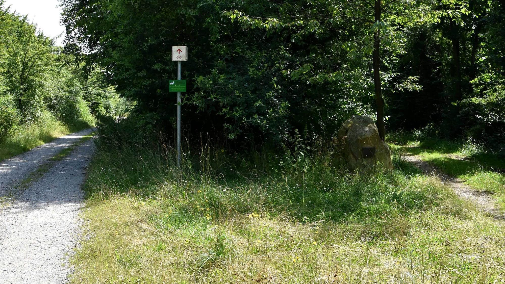 Ein Waldweg in Bedburg.