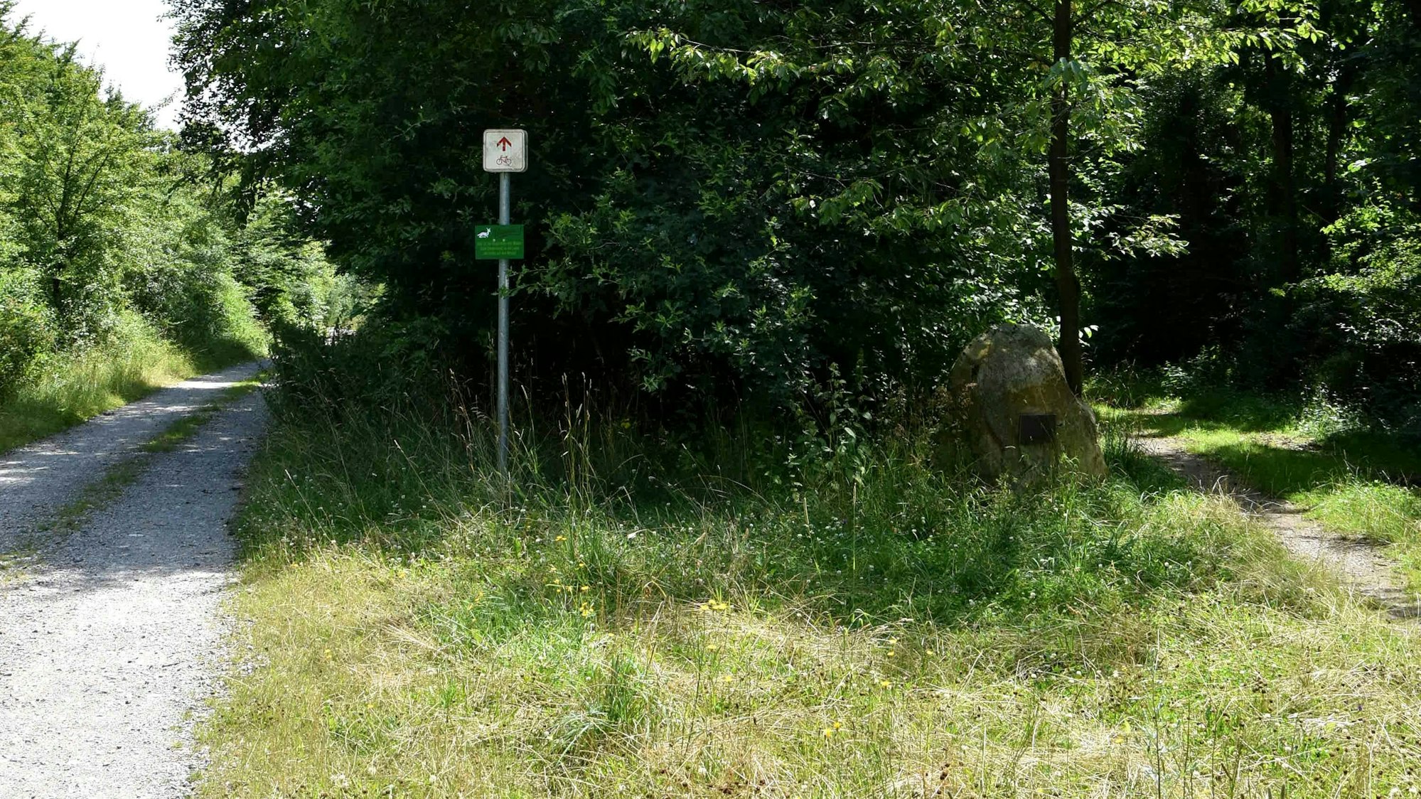 Ein Waldweg in Bedburg.