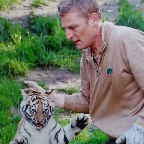 Am Nackenfell, wie das auch Tigermütter tun, hielt Mike Herschenbach den damaligen Tigernachwuchs; das Foto wurde vor gut zehn Jahren aufgenommen.