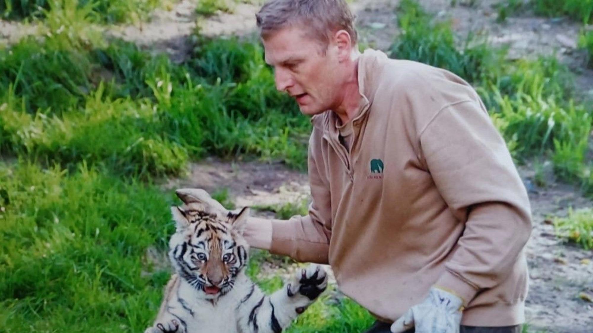 Am Nackenfell, wie das auch Tigermütter tun, hielt Mike Herschenbach den damaligen Tigernachwuchs; das Foto wurde vor gut zehn Jahren aufgenommen.
